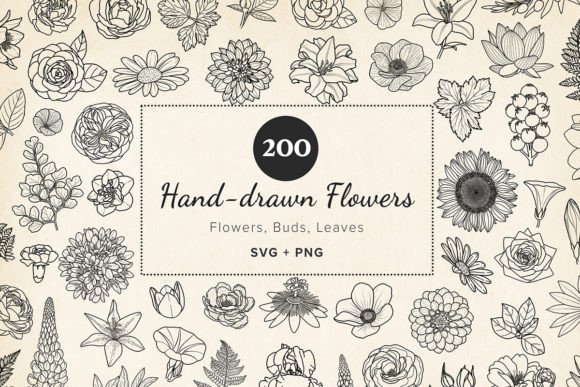 200 Hand-drawn Flower & Leaf SVG Clipart for Every Creator